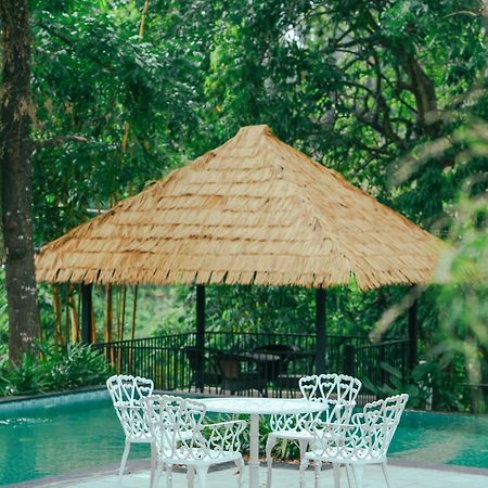 Athirapilly On The Rocks Hotel Athirappilly Exterior photo
